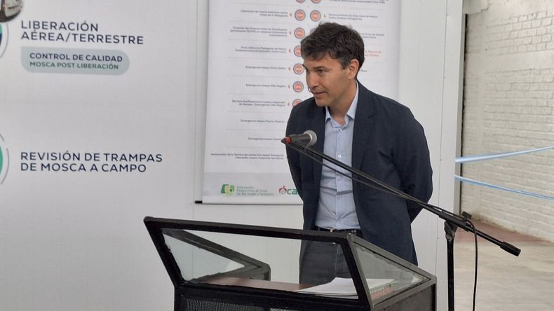 “El costo argentino nos está matando”: la advertencia del CEO que lidera la fruticultura del Alto Valle | LM Neuquen “El costo argentino nos está matando”: la advertencia del CEO que lidera la fruticultura del Alto Valle