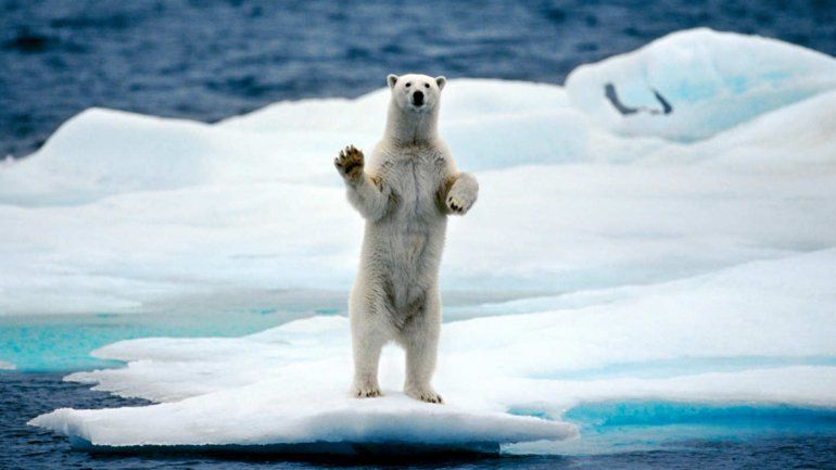 Científicos estadounidenses entregaron a Trump un revelador informe sobre el cambio climático