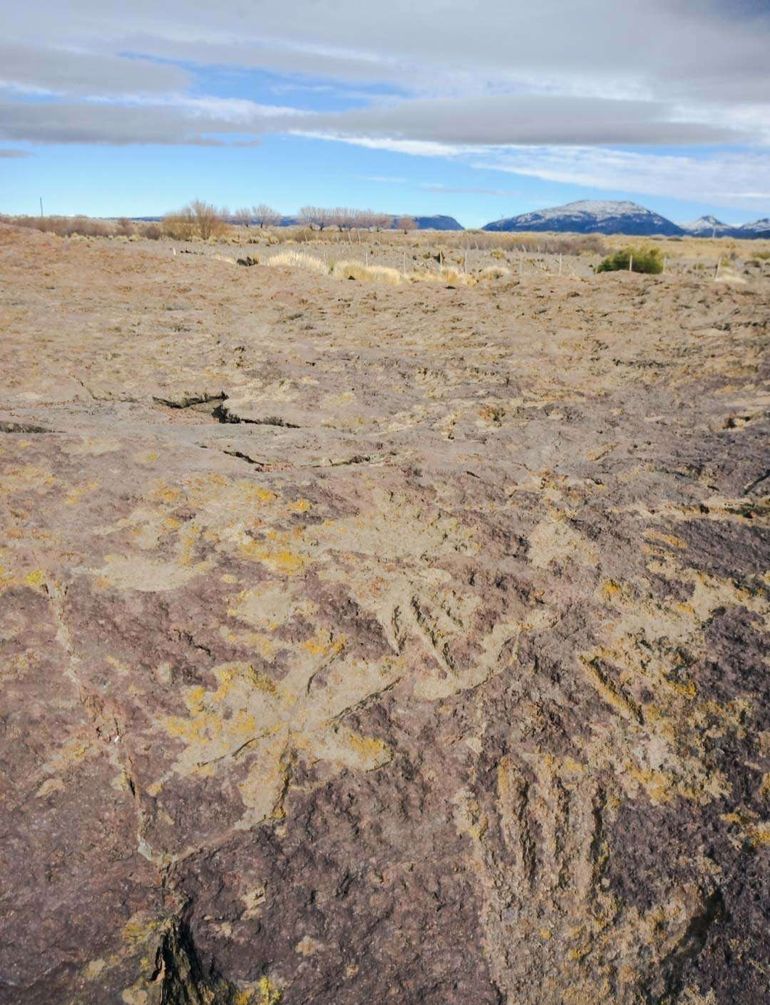 Neuquén tiene una importante riqueza arqueológica en la zona norte. Neuquén tiene una importante riqueza arqueológica en la zona norte.