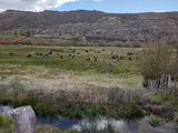 El agro, gran pilar del rebote de la economía.