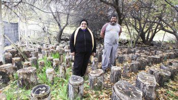 AM familia Muñoz hongos la Fela (16).jpg