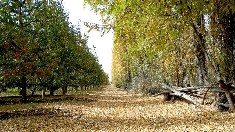 Se viene un fin de semana fresco pero soleado