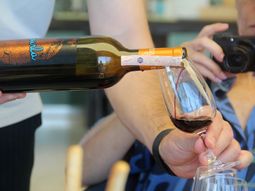 Expertos europeos defienden que el consumo moderado de vino es compatible con una vida saludable. Foto: EFE Expertos europeos defienden que el consumo moderado de vino es compatible con una vida saludable. Foto: EFE