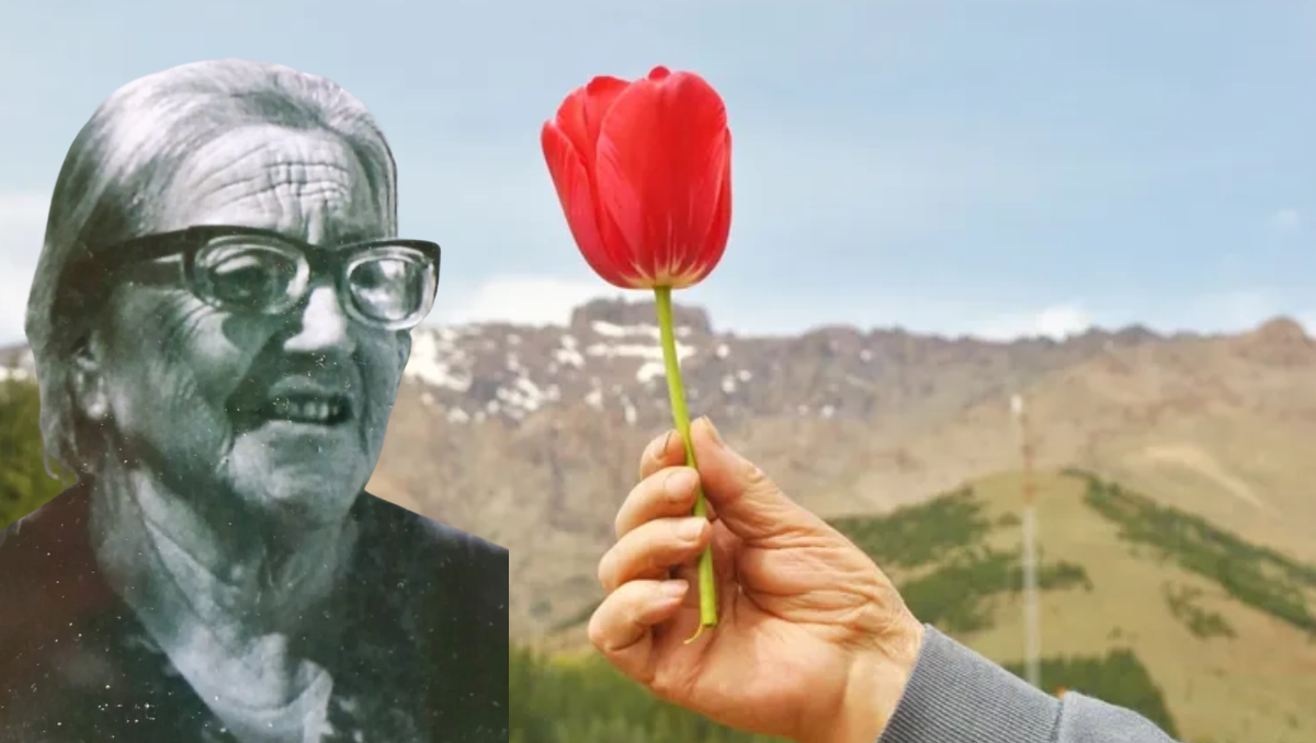 Doña Ramona, la historia detrás de los tulipanes