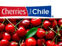 Las exportacines de cerezas de Chile muestran un impactante crecimiento. Las exportacines de cerezas de Chile muestran un impactante crecimiento.