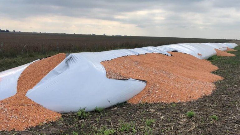 Massa impulsa un proyecto de ley para combatir el vandalismo rural