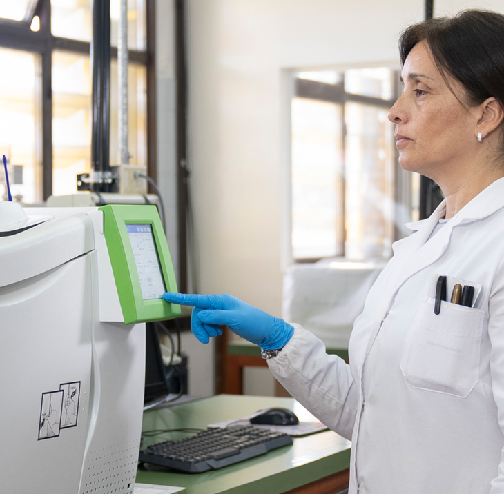 El total de hectáreas implantadas de olivo asciende a 77.170. Foto: INTI El total de hectáreas implantadas de olivo asciende a 77.170. Foto: INTI