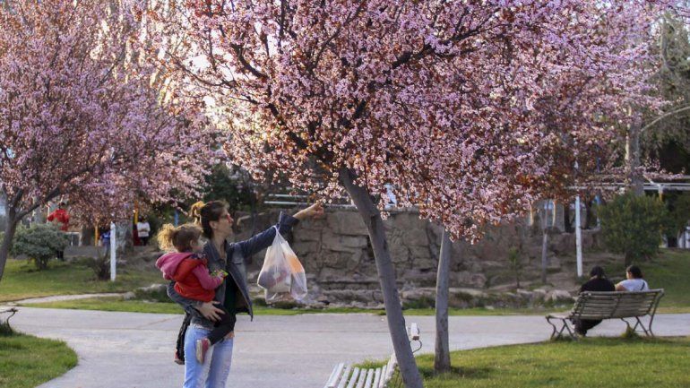 Vuelve, vuelve primavera: se viene una semana agradable en el valle
