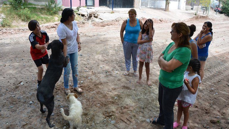 Denuncian la matanza de animales en Villa Ceferino
