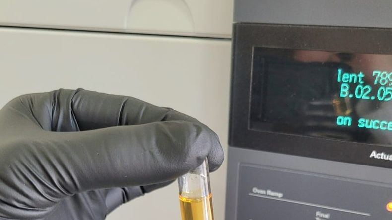 Impulsan al análisis de aceites de cannabis en la Patagonia