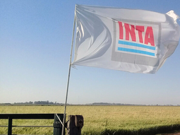 El INTA tiene más de 50.000 hectáreas sin uso El INTA tiene más de 50.000 hectáreas sin uso
