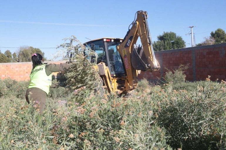 La Municipalidad aplicará severas multas por no limpiar los terrenos baldíos: ¿de cuánto son?