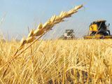 Las emisiones de CO2 de la agricultura en la OCDE crecieron un 4,3 % la pasada década.