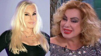 susana: un chisme mato a salomon susana: un chisme mato a salomon