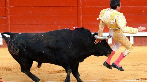 España: toro cornea a experto torero y lo hirió en los glúteos