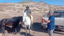 un veterinario se puso al hombro la atencion a los perros que trabajan en la trashumancia