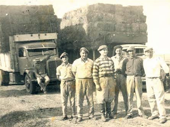 Camiones con fardos listos para partir para la capital, los camioneros Mangas y Pirronito, los changarines y Adolfo Grobocopatel en el centro, con botas y boina. El destino final era Dorso Hnos., en Lomas de Zamora, y Cortés y Magliani de Lanús, que luego los distribuirían a los soderos de la zona. Foto: Los Grobo 25 años imaginando y construyendo el futuro. Camiones con fardos listos para partir para la capital, los camioneros Mangas y Pirronito, los changarines y Adolfo Grobocopatel en el centro, con botas y boina. El destino final era Dorso Hnos., en Lomas de Zamora, y Cortés y Magliani de Lanús, que luego los distribuirían a los soderos de la zona. Foto: Los Grobo 25 años imaginando y construyendo el futuro.