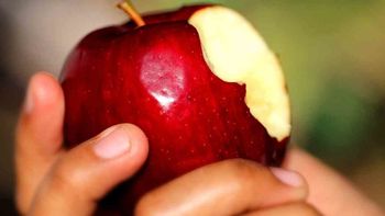 ¿Por qué ya no comemos manzanas? El cambio silencioso del paladar argentino