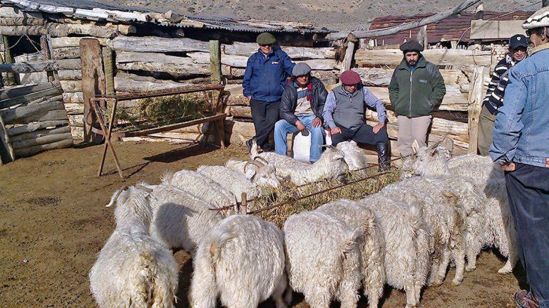 Los ganaderos tienen más tiempo para pedir plata