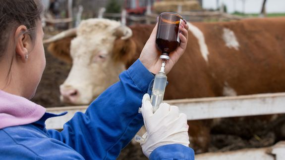 CRA descarta, sin un plan estartégico, dejar de vacunar en el país.