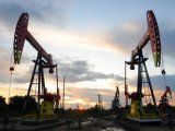 La OPEP y aliados prevén una recuperación sólida de la demanda en 2022.