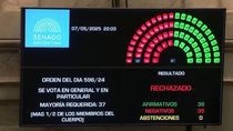 La Ficha Limpia no fue aprobada por un voto