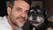 pedro alfonso despidio a su perro moro y conmovio a las redes sociales pedro alfonso despidio a su perro moro y conmovio a las redes sociales