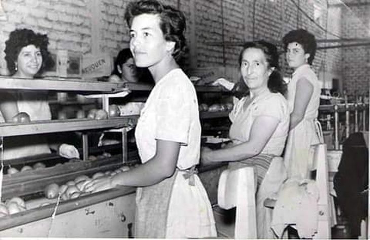 Manos que sostienen el fruto, memoria viva del Alto Valle patagónico. Trabajadoras en exFUDEP. Gentileza: Héctor Muñoz, Plottier del Ayer Manos que sostienen el fruto, memoria viva del Alto Valle patagónico. Trabajadoras en exFUDEP. Gentileza: Héctor Muñoz, Plottier del Ayer