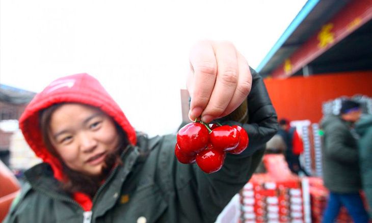 El 90% de las exportaciones chilenas de cerezas tiene destino final el mercado chino. El 90% de las exportaciones chilenas de cerezas tiene destino final el mercado chino.