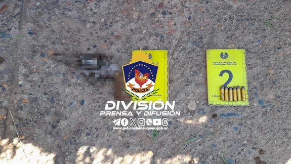 Al calabozo por insultar a los policías y tener un arma