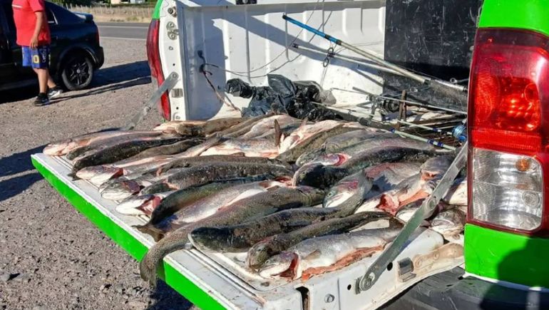 Pescadores furtivos el finde XXL: decomisaron casi 200 truchas de la pesca ilegal en ríos y lagos de Neuquén