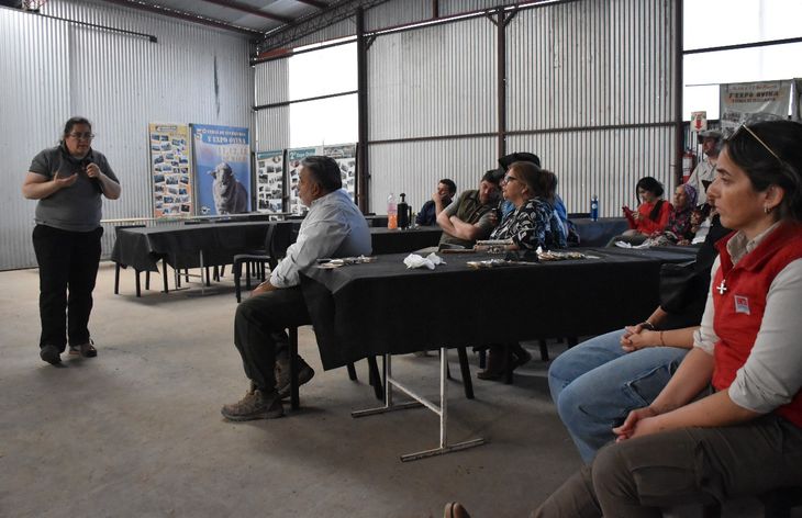 Desafíos del nuevo manejo – Pasar a vacas exige "empezar de vuelta", con cuentas precisas y carga animal adecuada. Foto: Fabricio González Desafíos del nuevo manejo – Pasar a vacas exige "empezar de vuelta", con cuentas precisas y carga animal adecuada. Foto: Fabricio González