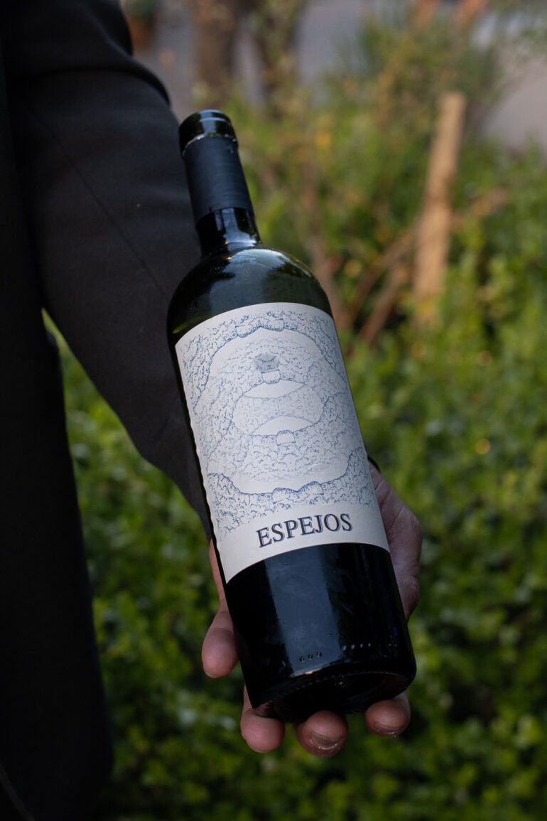 Luciano Pereyra incursionó en el mundo de la producción de vinos. Junto a dos amigos, creó la bodega Re-Cordis en el Valle de Uco, Mendoza.