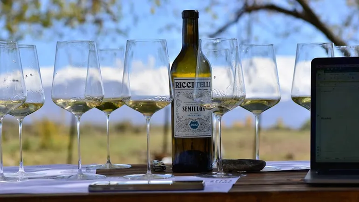 El arco estilístico de blancos ha ganado profundidad y estándar internacional. El arco estilístico de blancos ha ganado profundidad y estándar internacional.