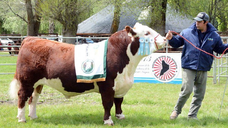 Los productores bovinos tiraron la casa por la ventana
