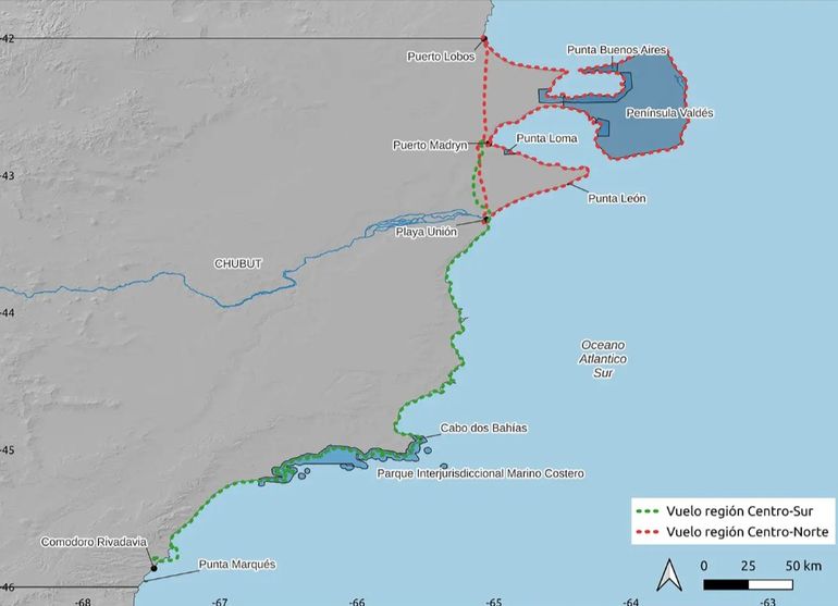 El mapa de los relevamientos aéreos que difundió el Foro Para la Conservación del Mar Patagónico y Áreas de Influencia. El mapa de los relevamientos aéreos que difundió el Foro Para la Conservación del Mar Patagónico y Áreas de Influencia.