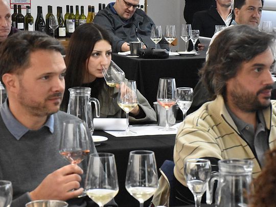 Bodegas de la Patagonia presentaron sus vinos icónicos