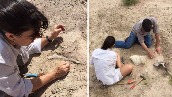 Encontró restos de un dino en el Cañadón de las Cabras