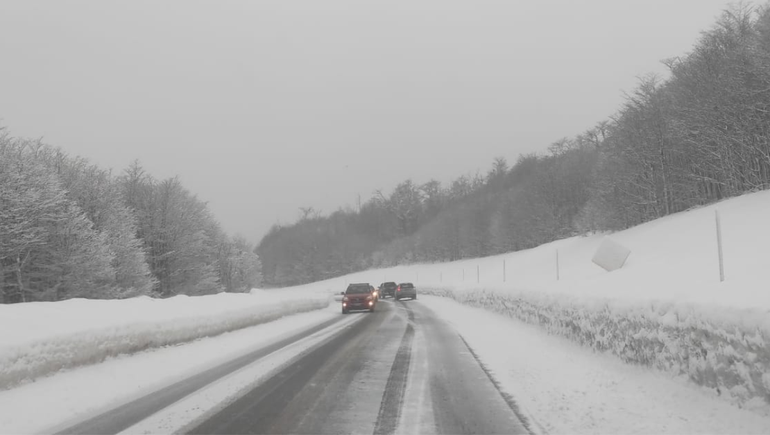 Con grandes nevadas en la cordillera, cómo se encuentran los pasos Pino Hachado y Cardenal Samoré