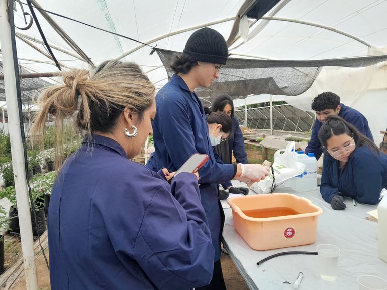 hidroponia puesto de plottier