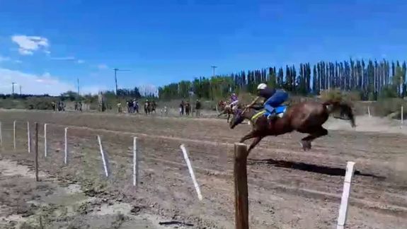 El momento de la caída que le ocasionó la muerte al jockey y al caballo.