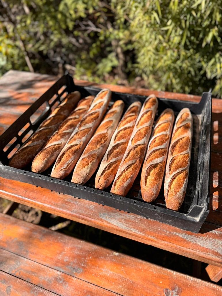 Baguettes recién salidas. Crocantes y aireadas por dentro. Ideales para cualquier tipo de sándwich.