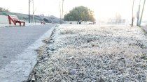 Los registros del INTA llegaron a los -13.1 ºC en el Alto Valle.