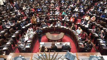 La Cámara de Diputados. La Cámara de Diputados.