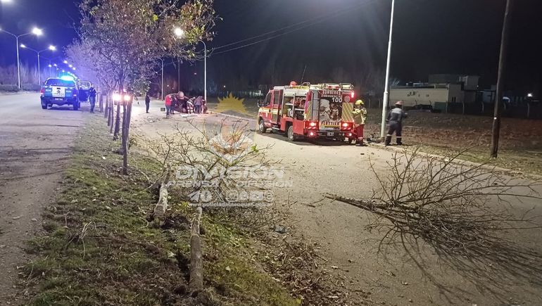 El conductor tenía toda la documentación en regla. El conductor tenía toda la documentación en regla.