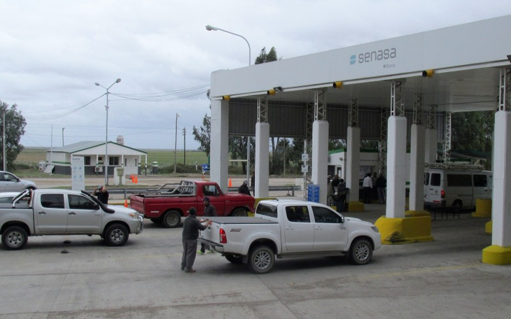 Cartel de alerta SENASA: colaboración ciudadana clave para preservar exportaciones frutícolas de calidad. Foto: Senasa Cartel de alerta SENASA: colaboración ciudadana clave para preservar exportaciones frutícolas de calidad. Foto: Senasa