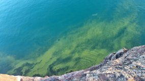 Agua verde en los embalses Mari Menuco, Barriales y Ramos Mexía: la advertencia de la AIC