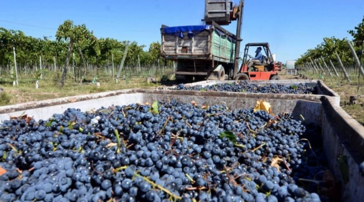Con ingresos que superan los 79 millones de dólares en exportaciones de pasas, la provincia consolida su ventaja competitiva en productos no vinarios y apuesta a los "Vinos de Valle" como estrategia de nicho premium. Con ingresos que superan los 79 millones de dólares en exportaciones de pasas, la provincia consolida su ventaja competitiva en productos no vinarios y apuesta a los "Vinos de Valle" como estrategia de nicho premium.