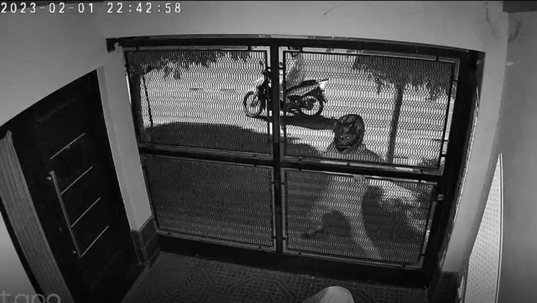 Puso cámaras de seguridad y, una hora después, quisieron robarle