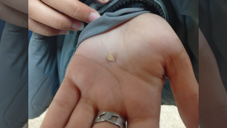 La denuncia de los estudiantes de una escuela de Plottier se difundió por redes sociales.